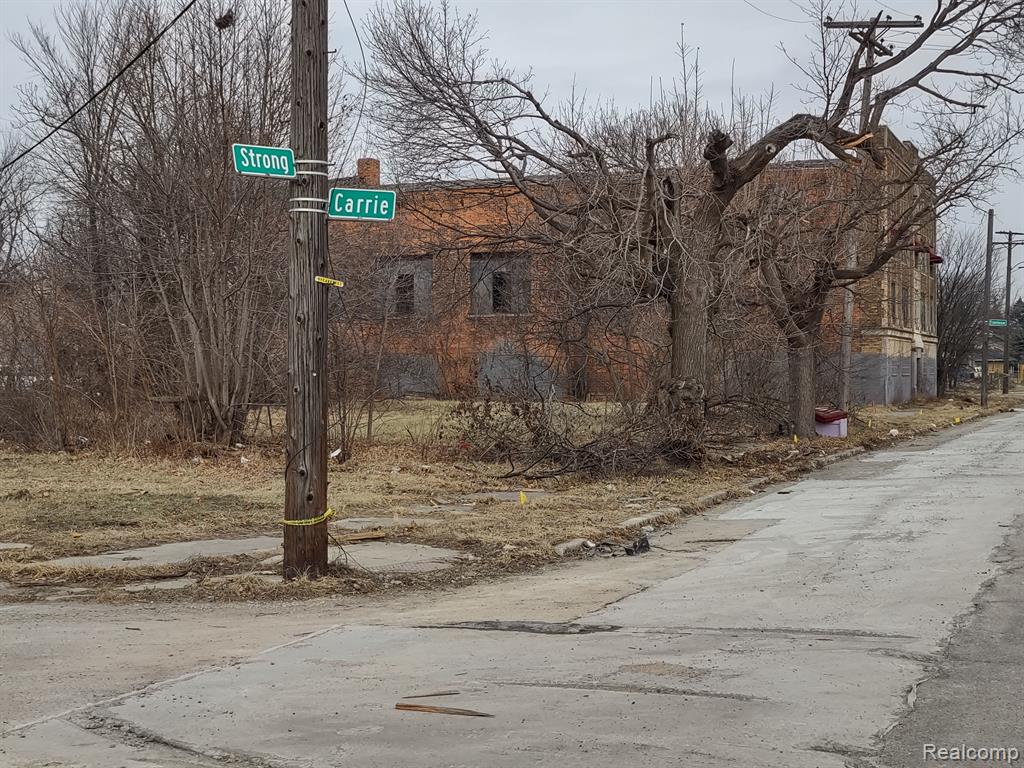 7151 STRONG Street, Detroit, MI 48211 — Photo 5