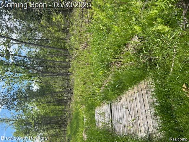 4148 Blue Vista Drive, Evart, MI 49631 — Photo 14