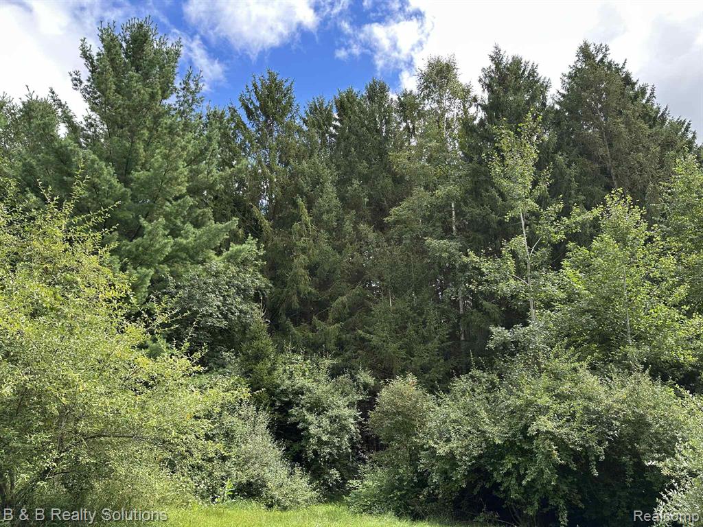 6318 Clear Lake Road, Imlay City, MI 48444 — Photo 76