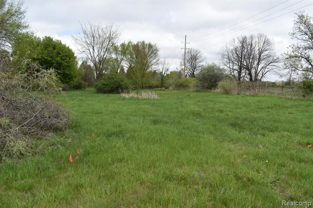VL Grand River Avenue, Fowlerville, MI 48836 — Photo 3