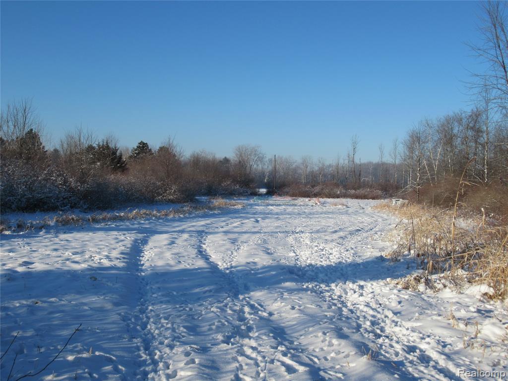 VACANT LAND S. PLAIN Road, Caro, MI 48723 — Photo 5