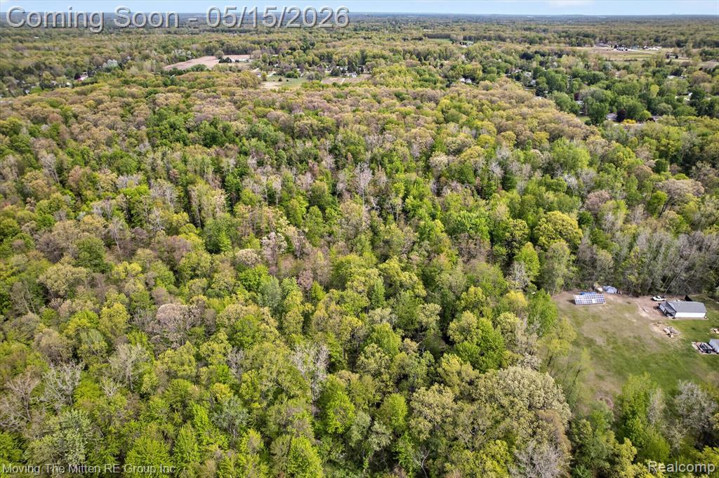 22530 Bohn Road, Belleville, MI 48111 — Photo 7