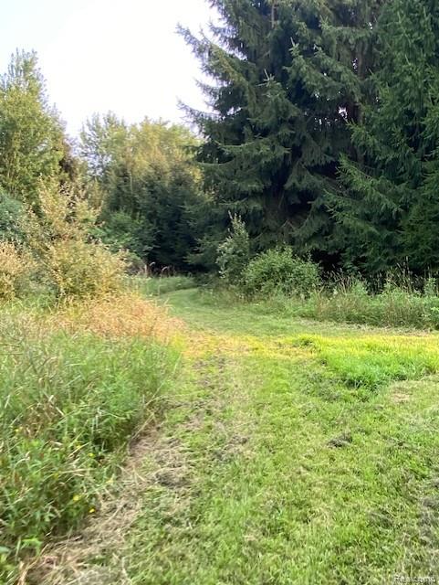 7762 Mason Road, Yale, MI 48097 — Photo 20
