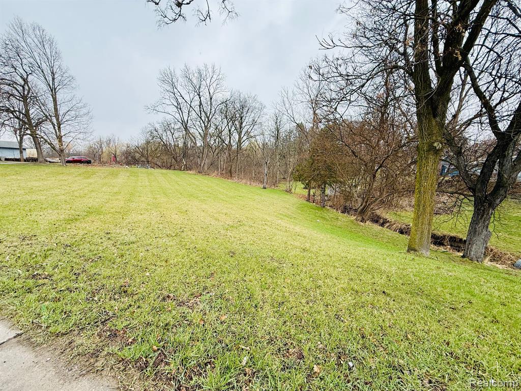 572 W VIENNA Street, Clio, MI 48420 — Photo 4
