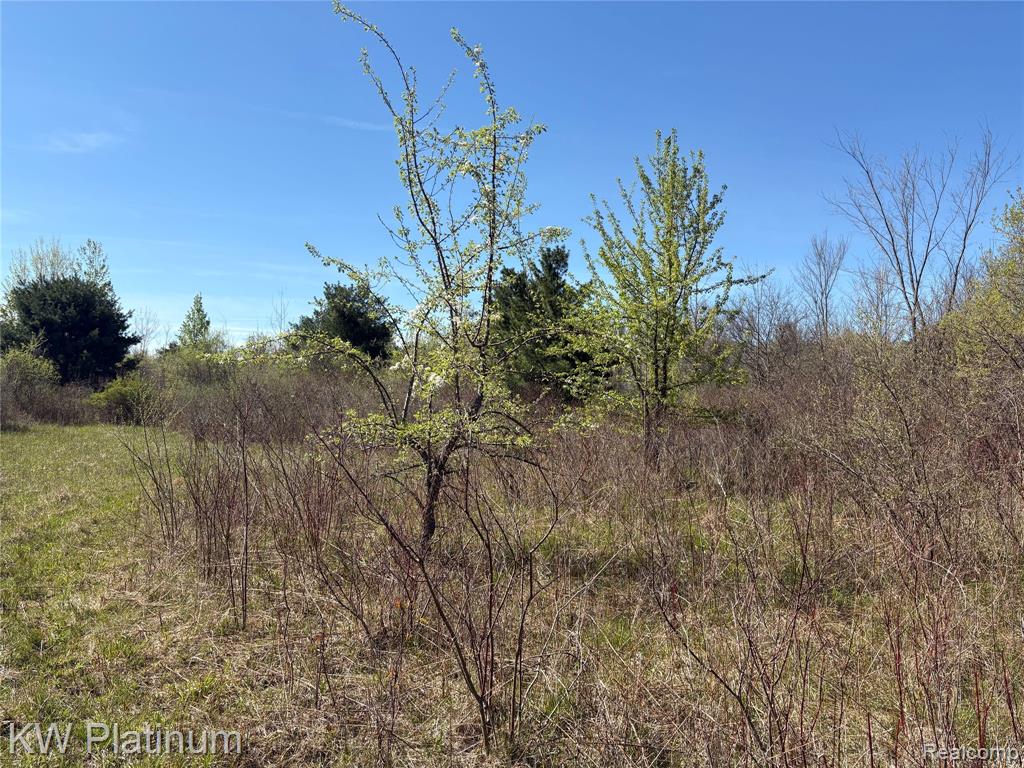 Parcel C Wicha Drive, Burtchville, MI 48059 — Photo 9