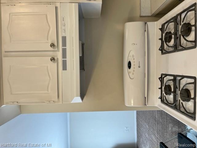 50046 Helfer Boulevard, Wixom, MI 48393 — Photo 10