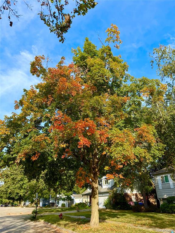 8636 War Bonnet Drive, Commerce Twp, MI 48382 — Photo 8