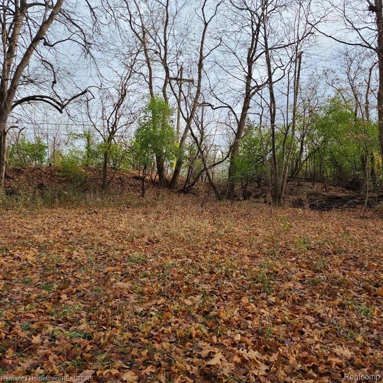 742 Doheny Drive, Northville, MI 48165 — Photo 2
