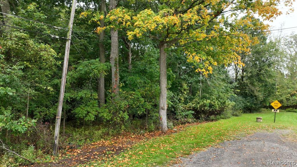 3 Esson Drive, Grand Blanc, MI 48439 — Photo 24