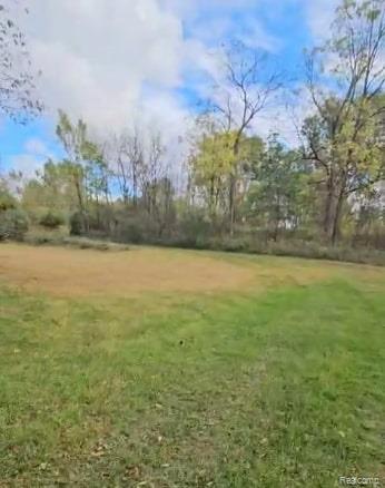 37 Risch Road, Webberville, MI 48892 — Photo 6