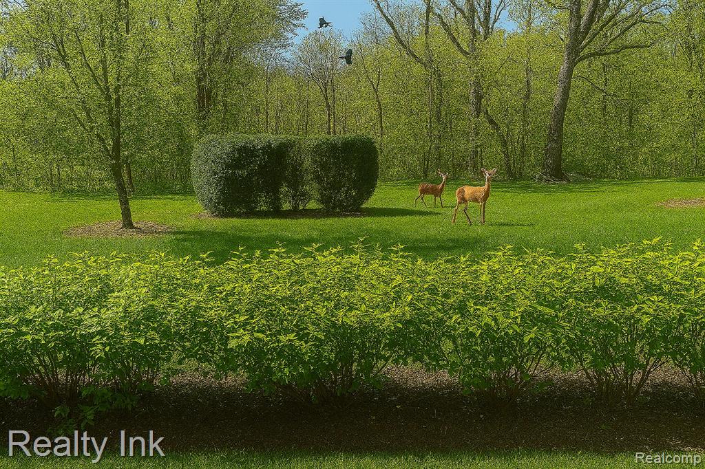 3399 Tremonte Circle S, Rochester, MI 48306 — Photo 10