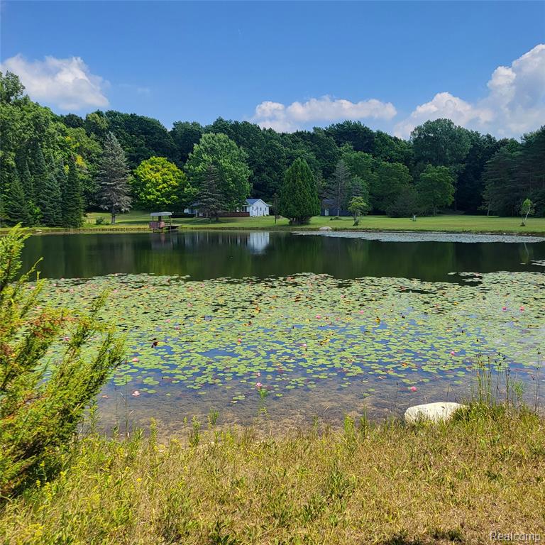 5060 Pinecone Drive, Lapeer, MI 48446 — Photo 39