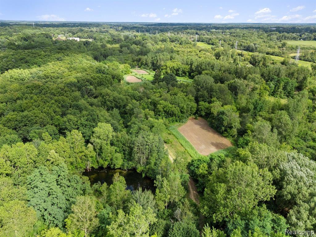 V/L BLAKE Road, Jackson, MI 49201 — Photo 20