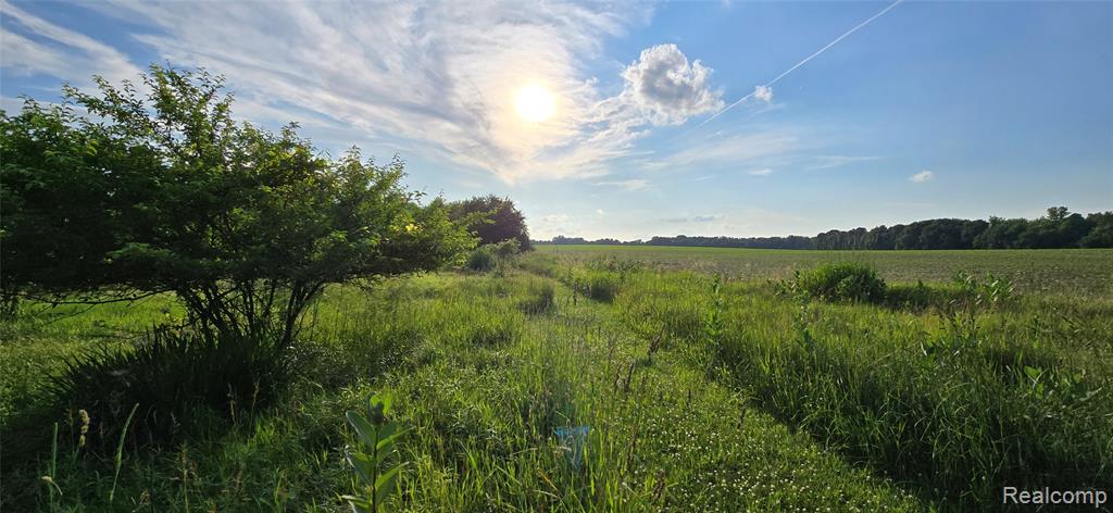 5393 Huschke Road, Webberville, MI 48892 — Photo 14