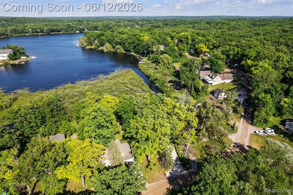920 Hickory Ridge Circle, Milford, MI 48380 — Photo 53