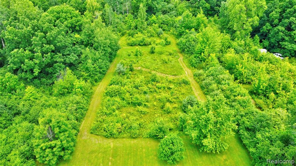 5244 Oleksyn Road, Flint, MI 48504 — Photo 41