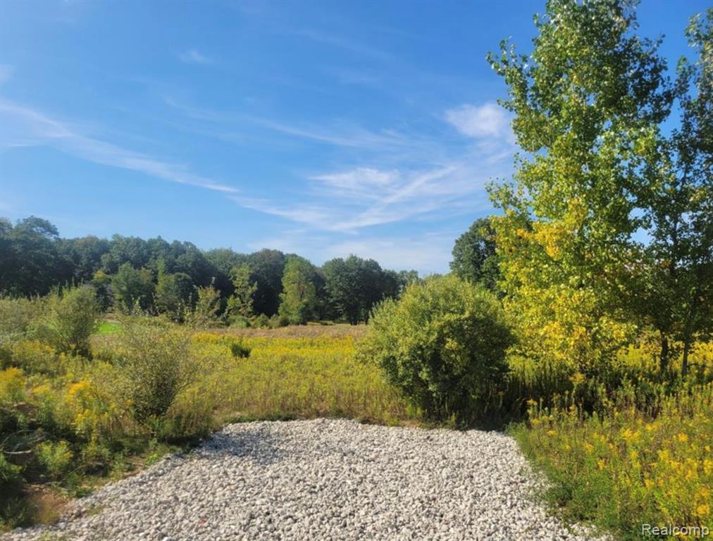 3681 Outback Trail, Putnam, MI 48169 — Photo 27