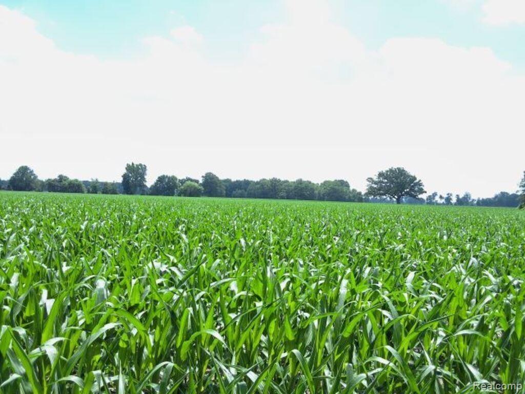 AUCTION Lot # 2 10 acres Dryden Road, Capac, MI 48014 — Photo 4