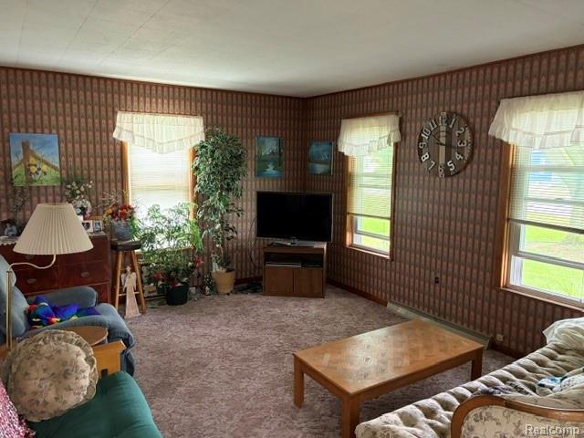 431 Lytle Avenue, Harbor Beach, MI 48441 — Photo 15