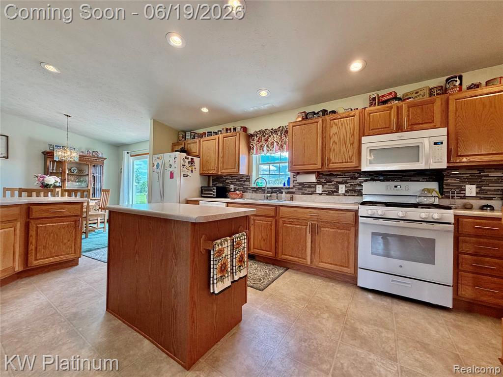 6069 Harris Road, Grant, MI 48032 — Photo 12