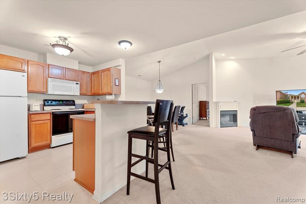 539 Mulberry Street, 59, Wyandotte, MI 48192 — Photo 11