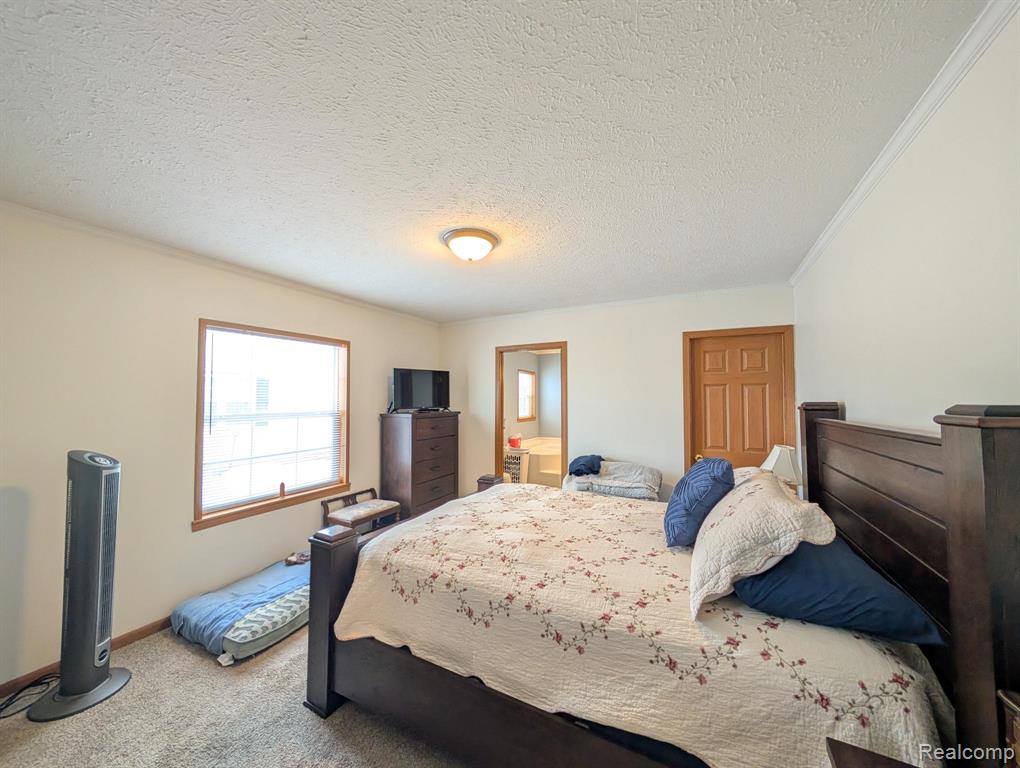 11242 Nearbrook Court, South Lyon, MI 48178 — Photo 18