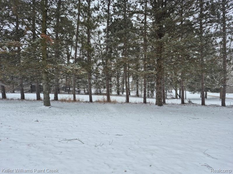 6373 Hall Road, Dryden, MI 48428 — Photo 11