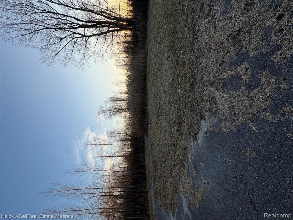 TBD Harris Road, Lakeport, MI 48059 — Photo 8