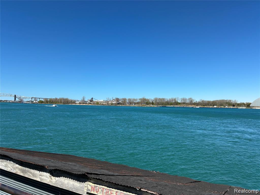 804 Merchant Street, Port Huron, MI 48060 — Photo 22
