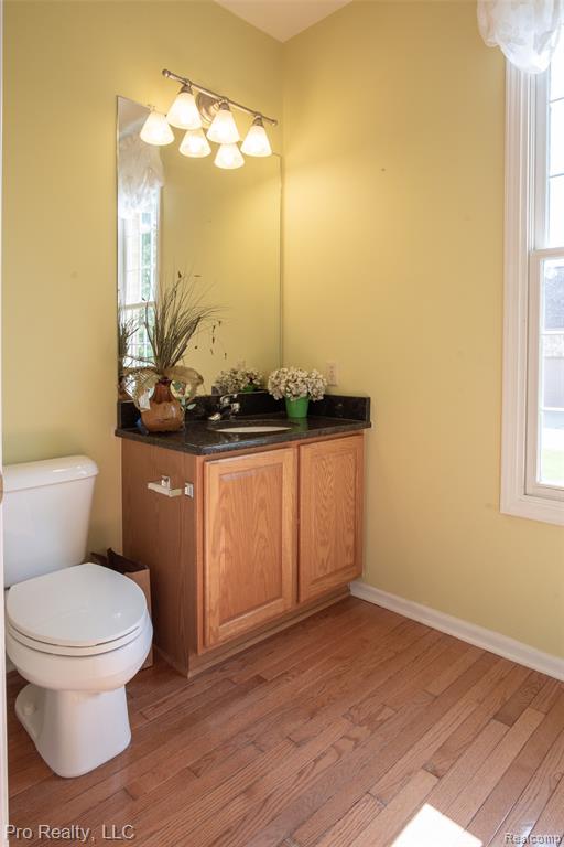 4233 Holly Lane, Rochester, MI 48306 — Photo 18