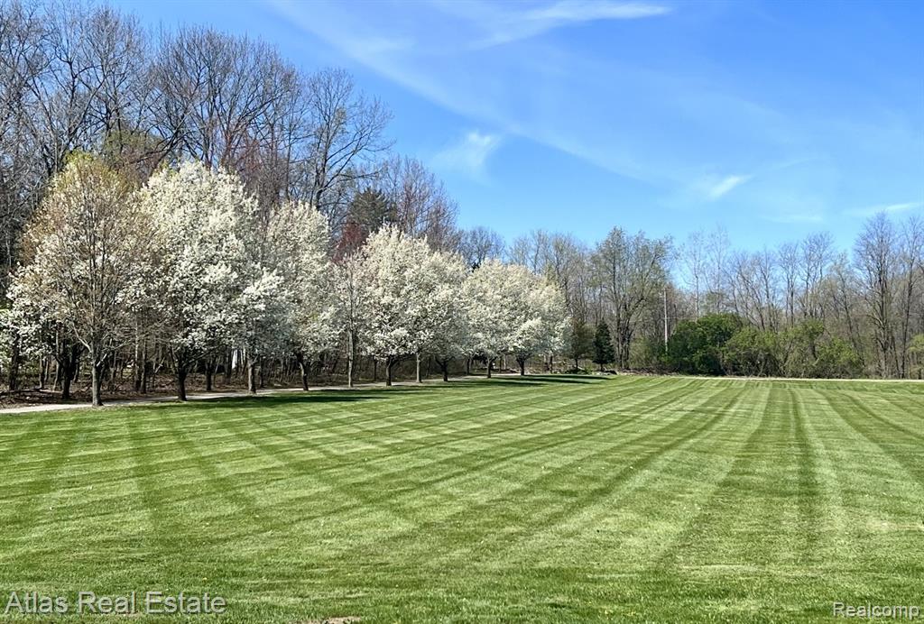 5415 Walker Road, Davison, MI 48423 — Photo 8
