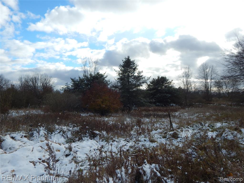 10321 E Lovejoy Road, Perry, MI 48872 — Photo 53