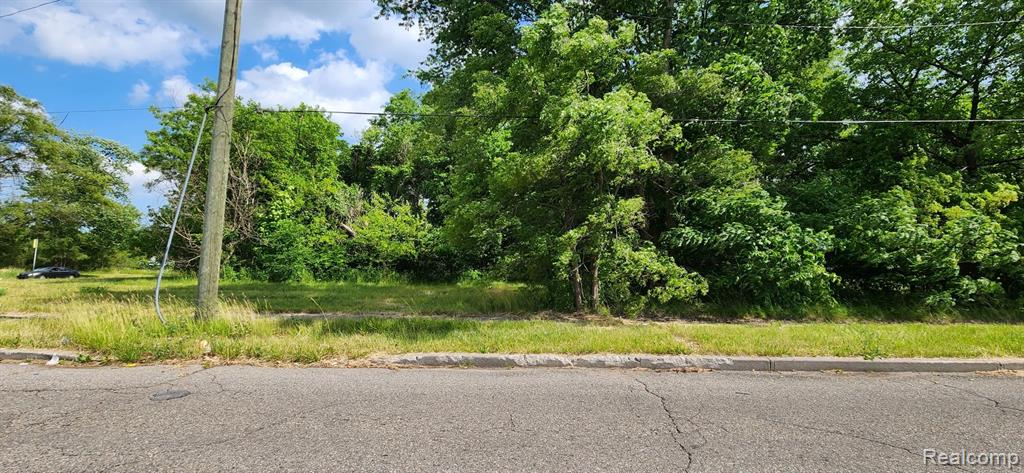4257 MOUNT ELLIOTT Street, Detroit, MI 48207 — Photo 3