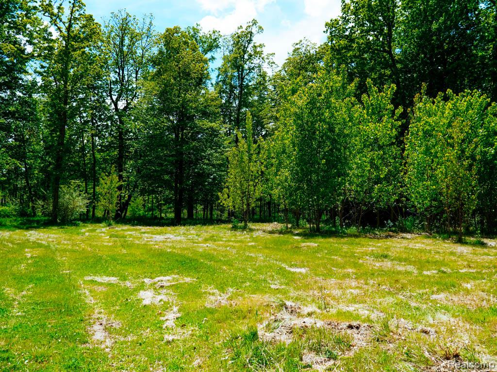 C-1 DOA Lane, Brighton, MI 48114 — Photo 11