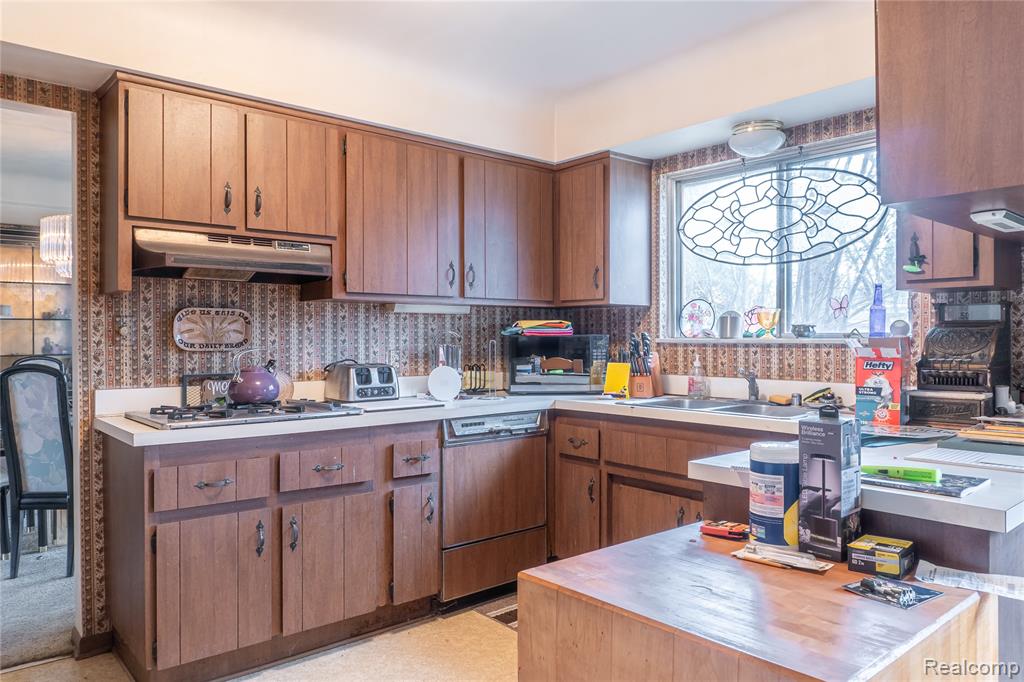 8362 Sunburst, Center Line, MI 48015 — Photo 16