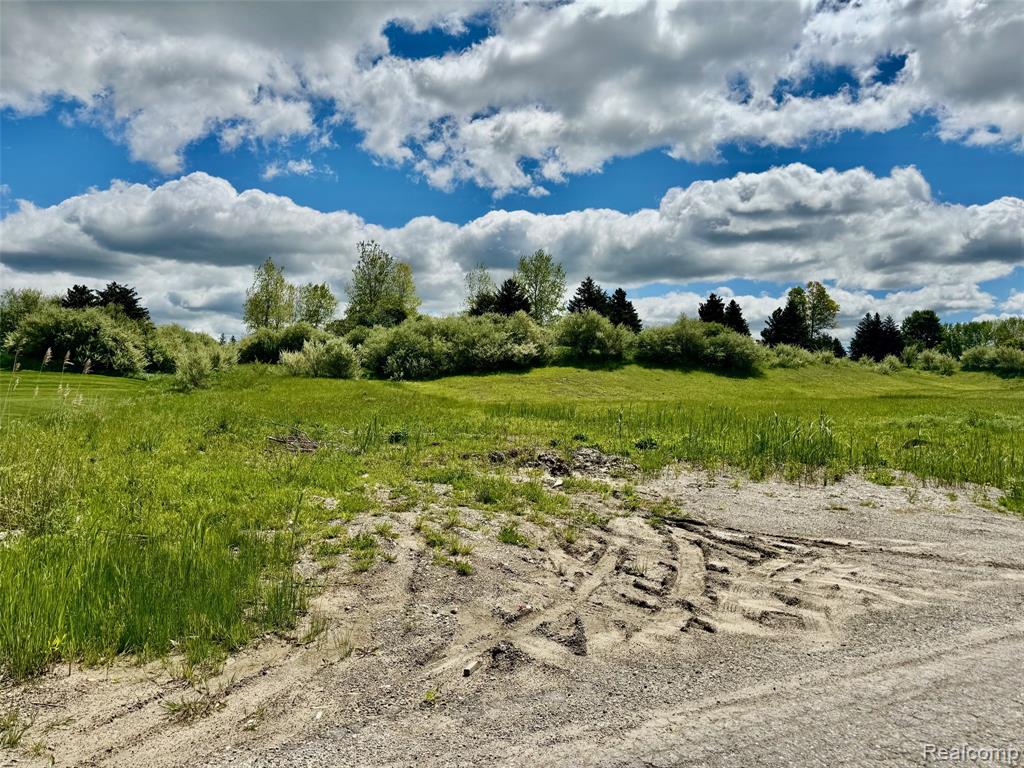 1058 INVITATIONAL Drive, Metamora, MI, 48455