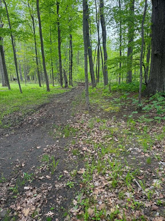 5994 N Lake Sanford Road, Sanford, MI 48657 — Photo 29