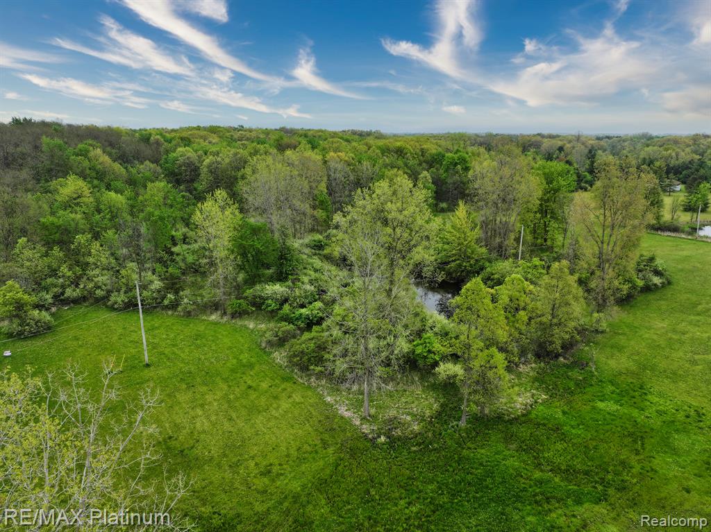 VL Faussett, Fenton, MI 48430 — Photo 22