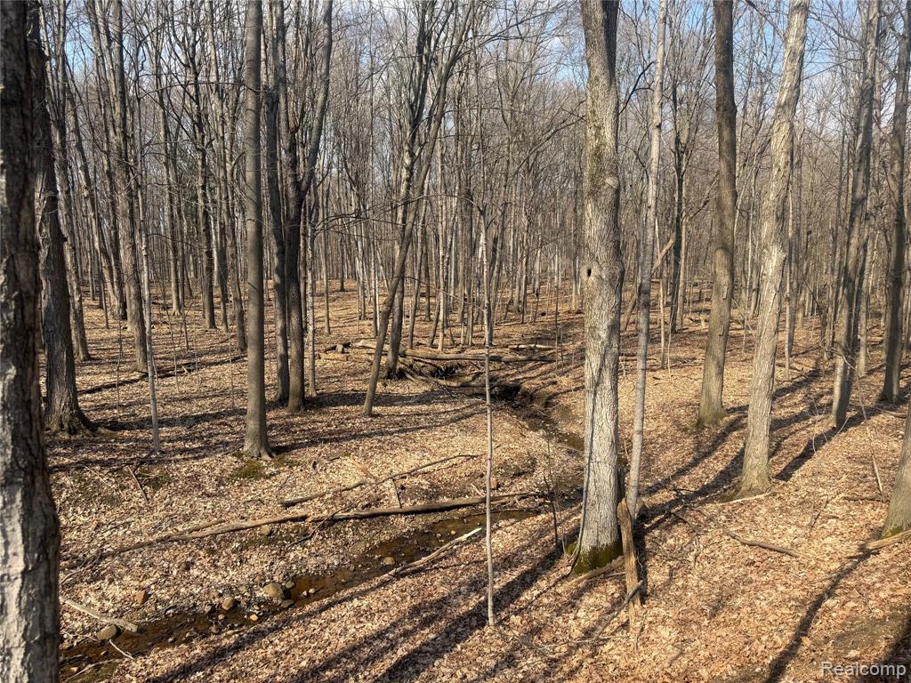 V/L Fulton, Mayville Vlg, MI 48744 — Photo 27