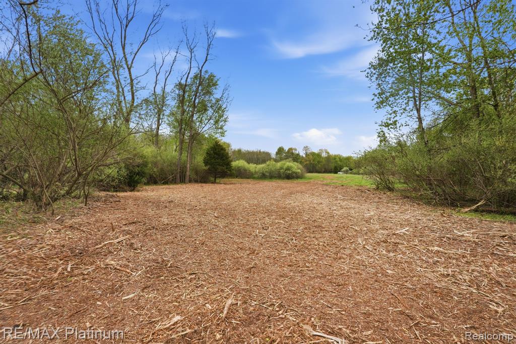 0 Hannah Jane Drive, Fowlerville, MI 48836 — Photo 3
