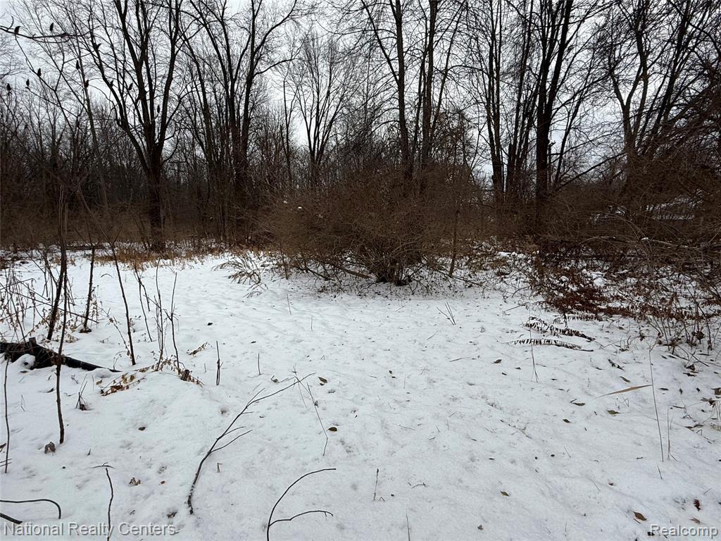 Vacant Ecorse Road, Romulus, MI 48174 — Photo 2