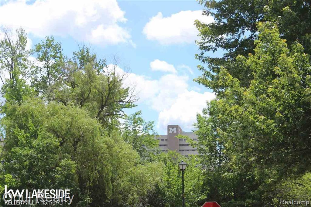 1237 Island Drive, 203, Ann Arbor, MI 48105 — Photo 12