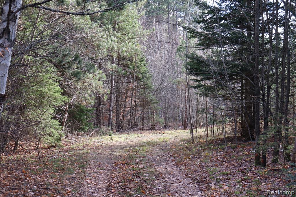 #A W Pendills Lake Road, Brimley, MI 49715 — Photo 39