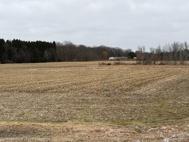 VL N Branch Road, North Branch, MI 48461