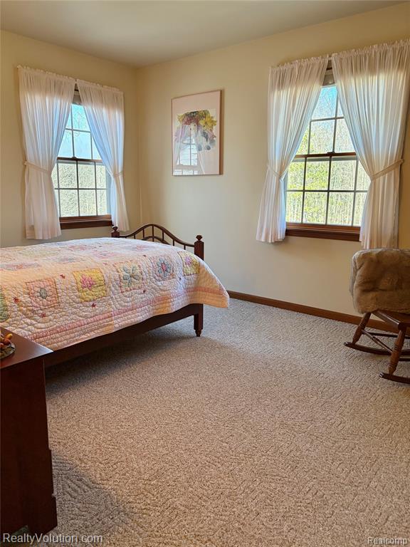 5449 Lum Road, Attica, MI 48412 — Photo 35