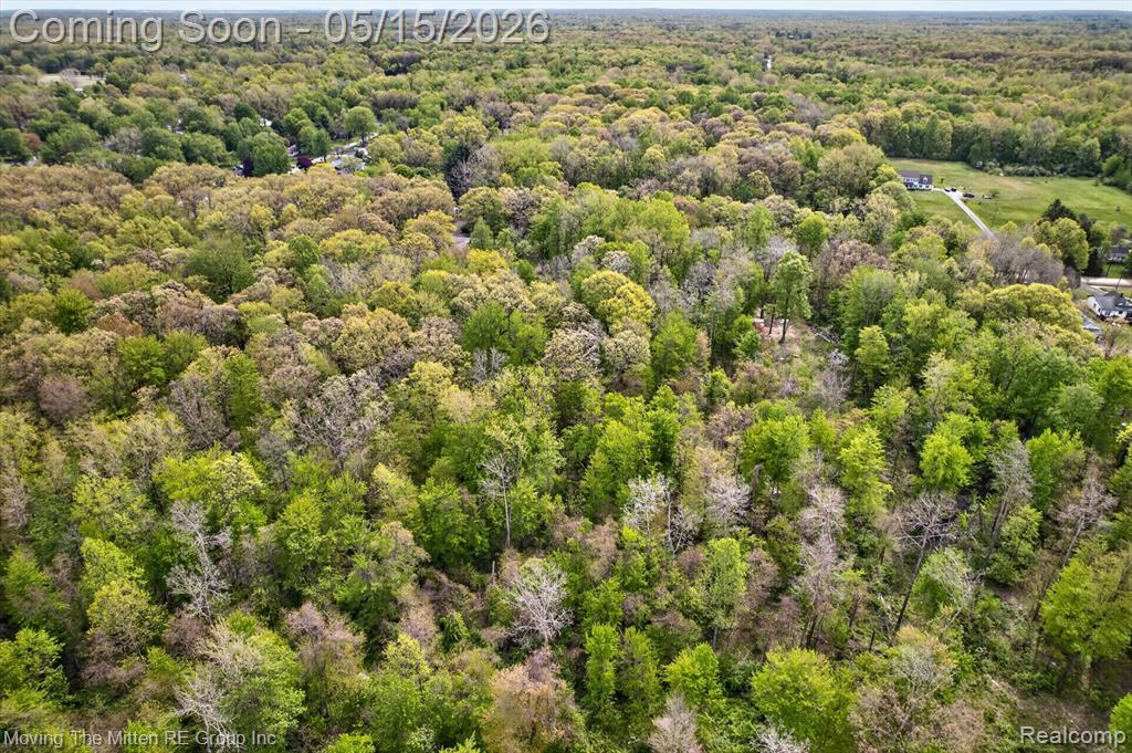 22530 Bohn Road, Belleville, MI 48111 — Photo 11