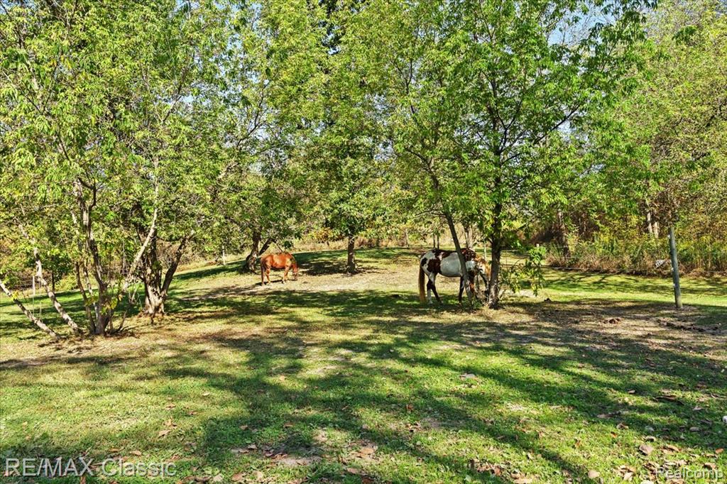 10979 Milford Road, Holly, MI 48442 — Photo 24