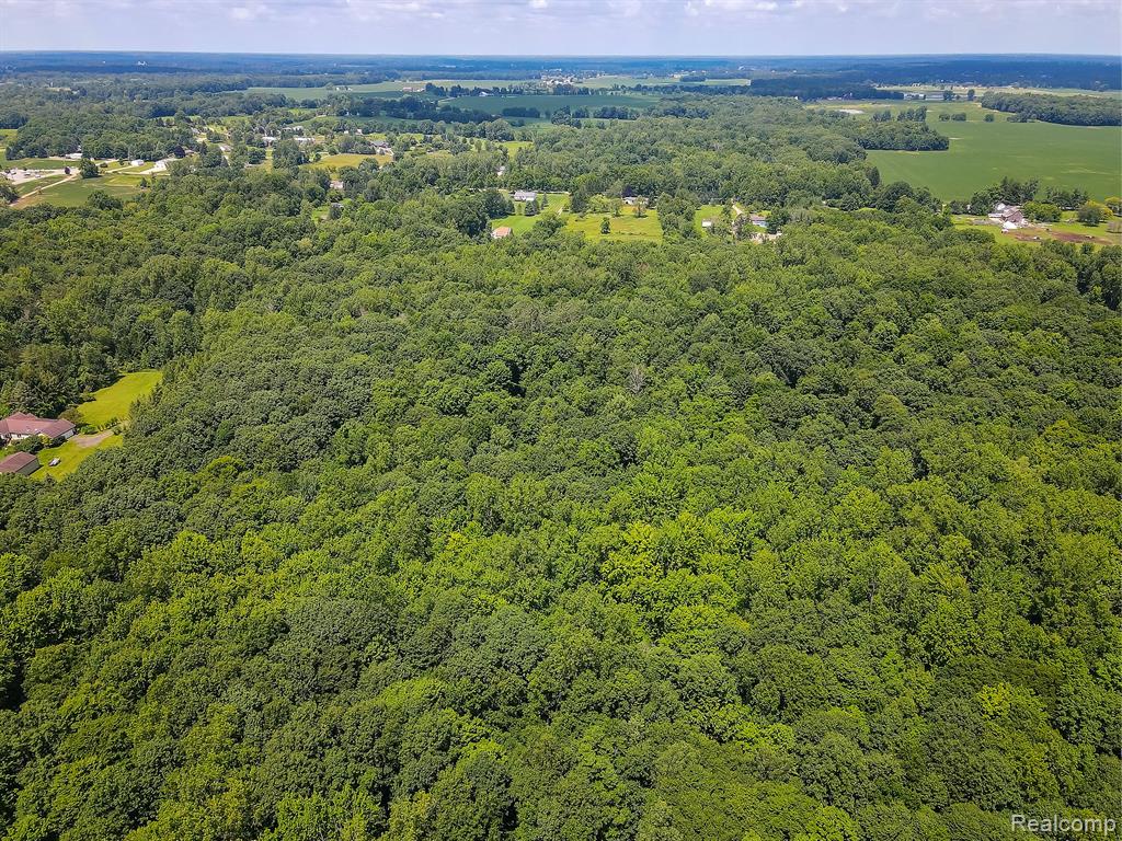 7653 CHASE LAKE Road, Fowlerville, MI 48836 — Photo 77
