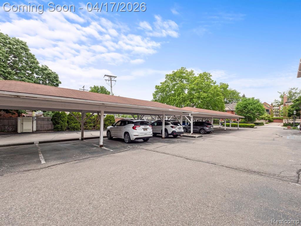444 CHESTER Street, 425, Birmingham, MI 48009 — Photo 10