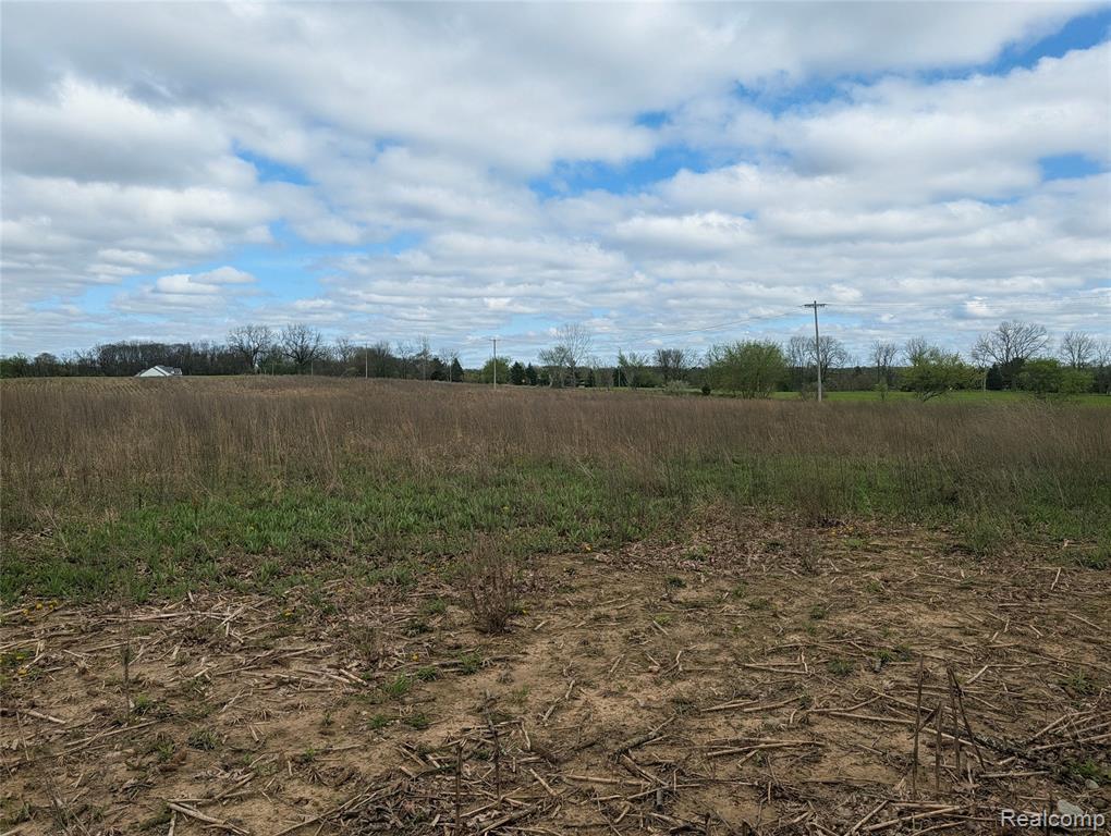 Parcel E Hogan Road, Linden, MI 48451 — Photo 11